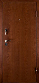 Дверь трехконтурная №6